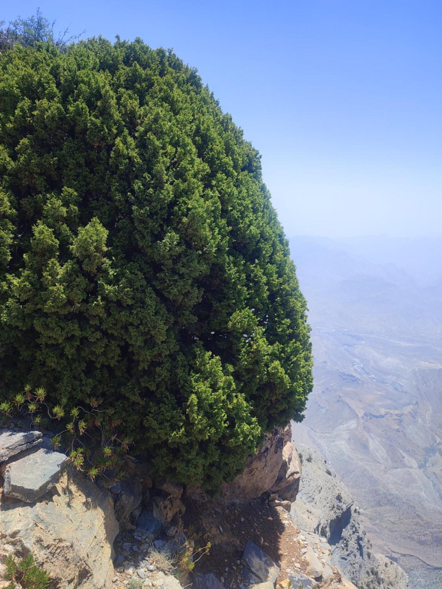 Stone Rest House Jebel Shams Al Ḩamrāʼ Екстериор снимка